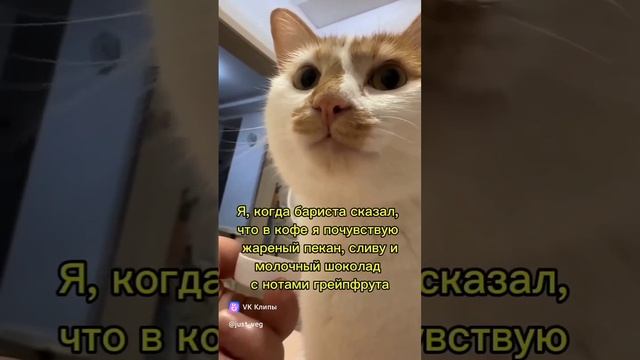 подпишись 🙏🙏🙏