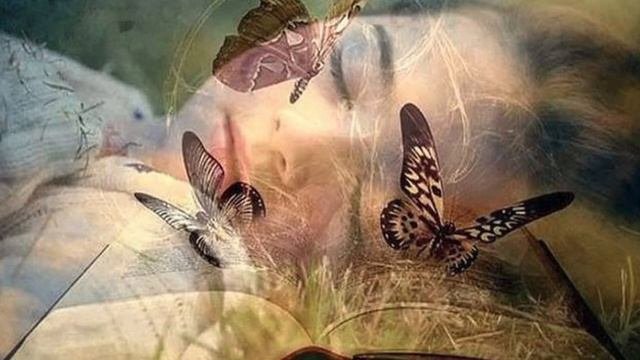 Предисловие - "Становление ведьмы. Внутренняя Эмпатия"