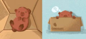 КВ ТОП ❤️ квд