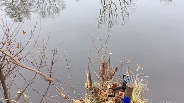 рыбалка