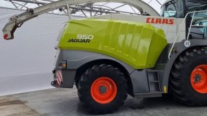 Claas Jaguar 950 for sale @ A&M Machinery