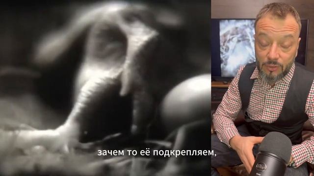Ошибки мышления. Чья кукушка кукует в вашей голове