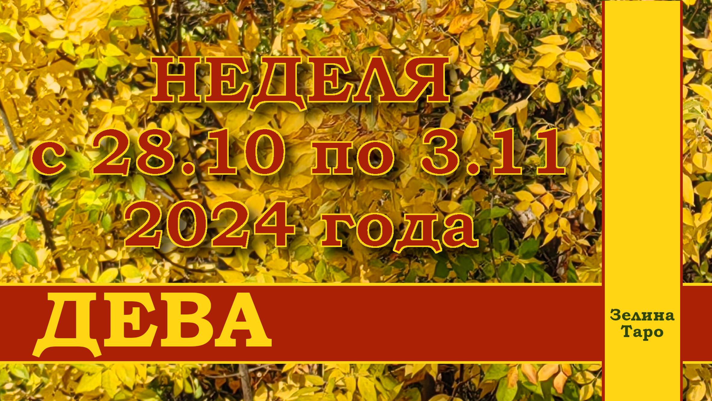 ДЕВА | ТАРО прогноз на неделю с 28 октября по 3 ноября 2024 года