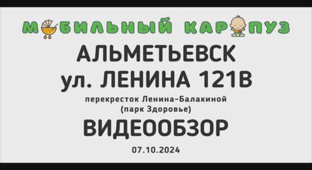 Мобильный Карапуз АЛЬМЕТЬЕВСК