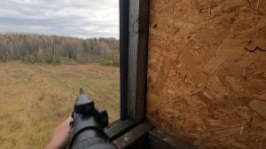 Охота на косуль, 9,3х62/ Deer hunting 9,3x62 Mauser