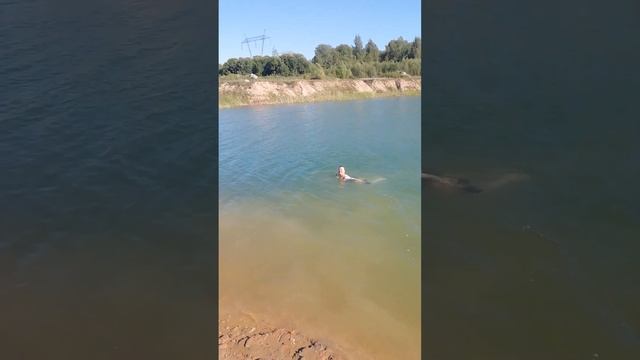 Завели в семье моржа.