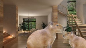 Тапаю Таба лапку||Жора не лезь в камеру!!