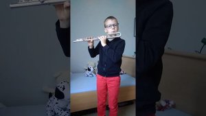 Вивальди. Отрывок из "Маленькой симфонии". Исполняет Владимир Самсонов.