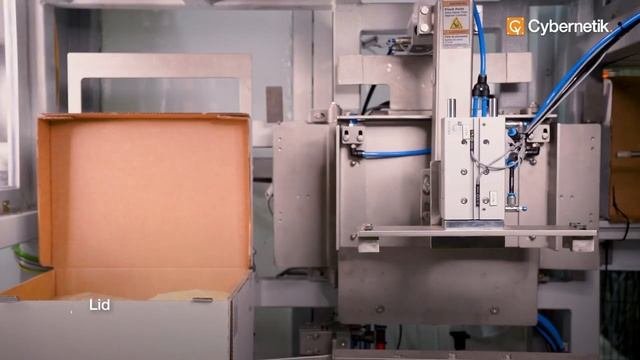 Упаковка в пакеты и паллетизация | Роботизированная автоматизация Cybernetik
