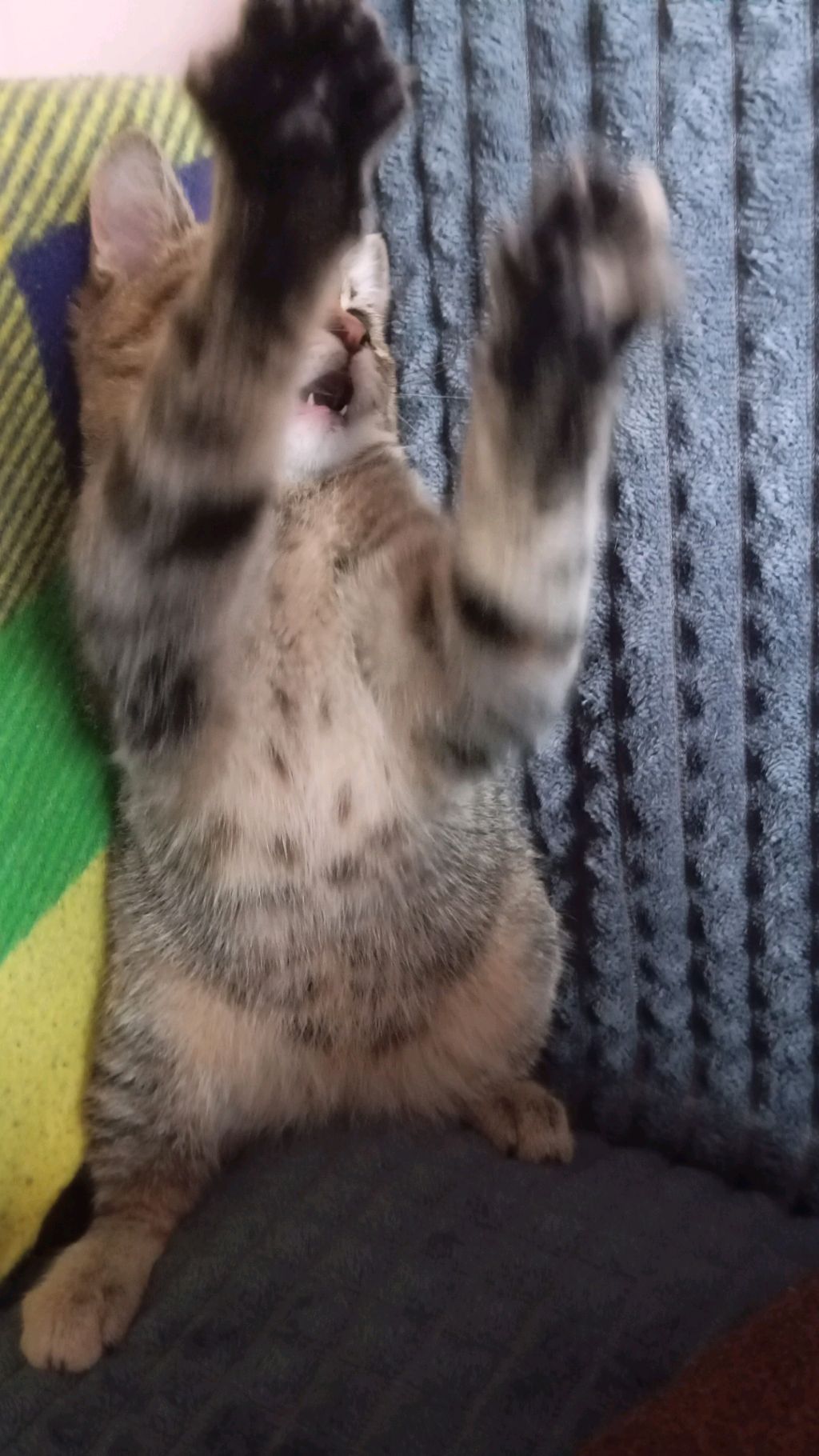 туха с пацанами смотреть онлайн