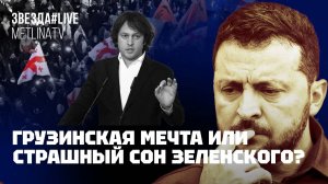 Грузинская мечта или страшный сон Зеленского?