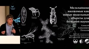 Мельчайшие насекомые как новые модульные объекты для большой науки. Алексей Полилов