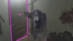 7 minutes of low quality left 4 dead memes and moments