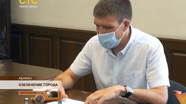 Озеленение города