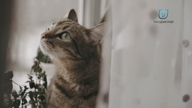 Жители MatrЁshka City смотреть онлайн