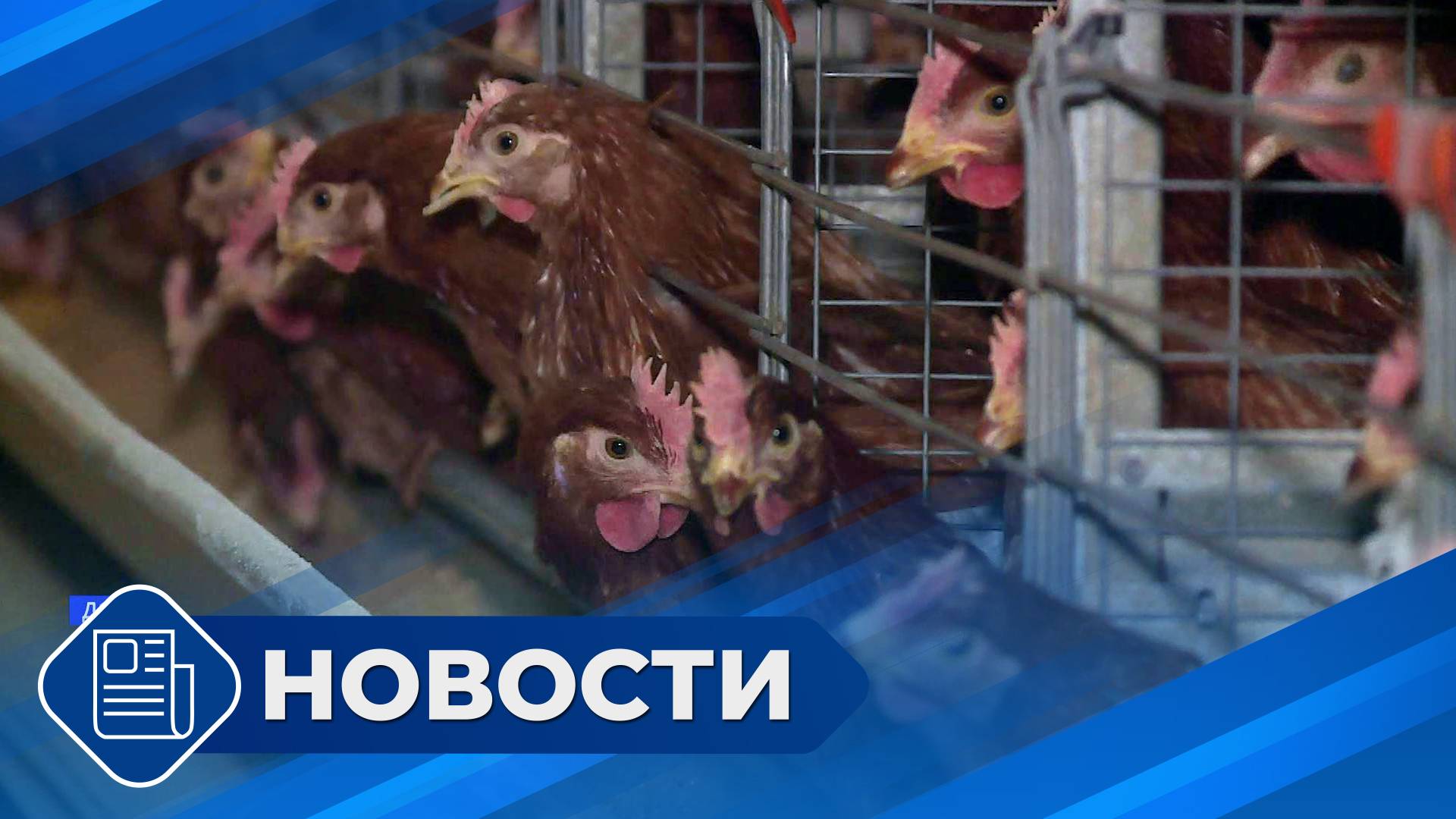 Новостной выпуск 19:00 от 28.10.24