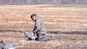 Фильм зоофил