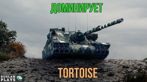 РАЗДАВИТ ЛЮБОГО 🔥 Tortoise