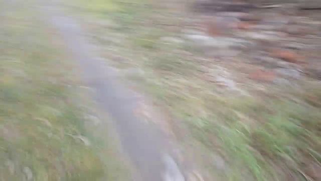 заброшка часть 2