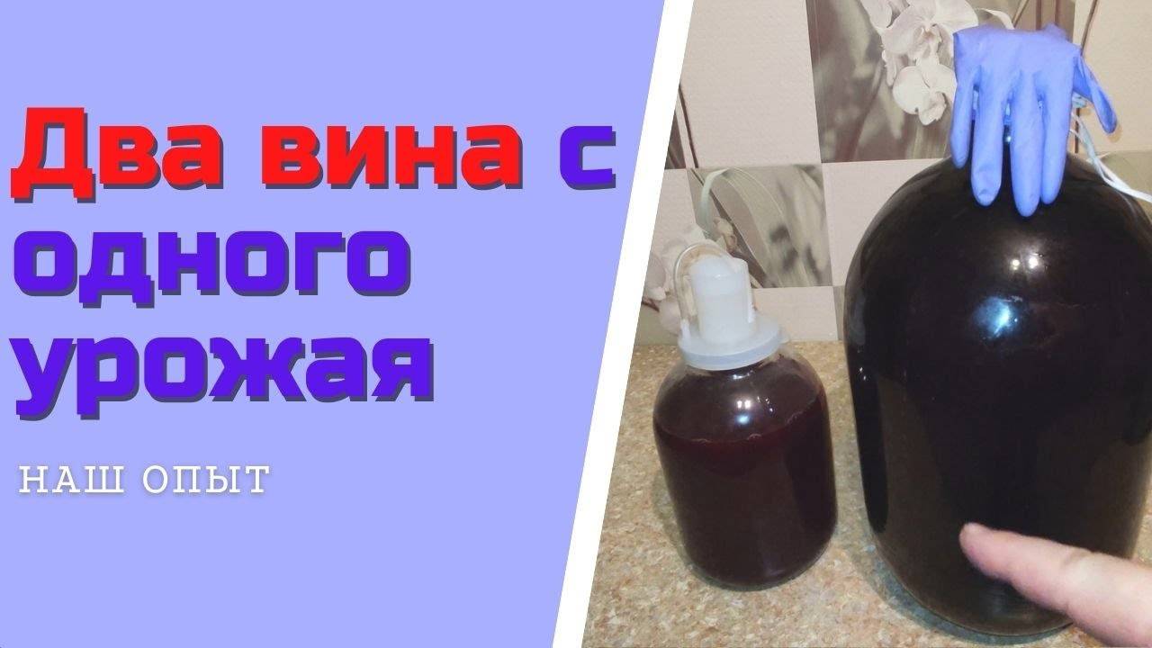 Вторичное вино из мезги жмыха два вина с одного урожая простое домашнее вино