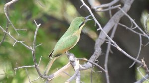 Лечебная расслабляющая музыка стресса, тревоги и депрессивных состояний 🌿 Заживание тела и души