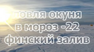 ЛОВЛЯ ОКУНЯ В МОРОЗ НА ФИНСКОМ ЗАЛИВЕ. Окунь брал на всё, мормышку, безмотылку, блесну, болду.