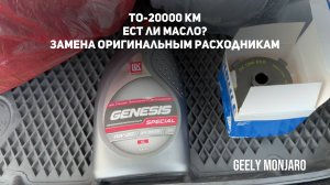 ТО- 20000км, Ест ли масло? Замена маслу Lopal и оригинальному фильтру Джили Монжаро/Geely Monjaro