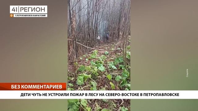 ДЕТИ ЧУТЬ НЕ УСТРОИЛИ ПОЖАР В ЛЕСУ НА СЕВЕРО-ВОСТОКЕ В ПЕТРОПАВЛОВСКЕ • БЕЗ КОММЕНТАРИЕВ