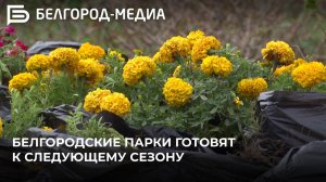 Белгородские парки готовят к новому сезону