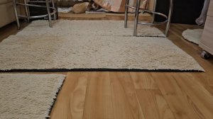 Оставила камеру на штативе следить за свинками и ушла на кухню готовить