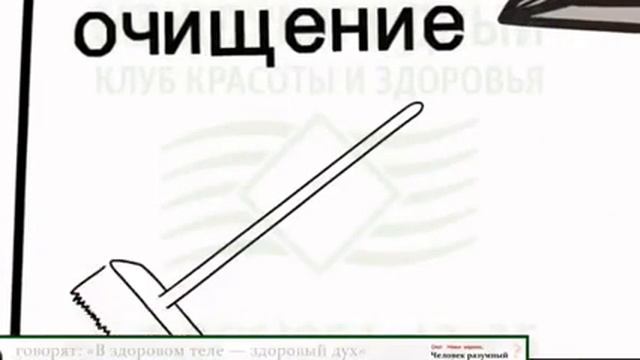 Концепция здоровья.
