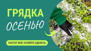 Успейте сделать осенью грядку, на которой все растет как не в себя!