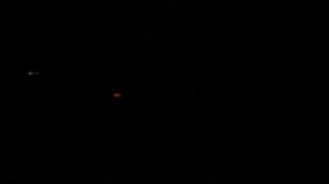 Охота в тайге.  Чуть не замерз на смерть. Встретил выживальщиков.