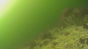 белое море 2024 на рыбалке под водой