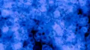 ОРАНУС. Концепция общества потребления.