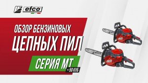 Бензопилы Efco серия MT (объём двигателя менее 50 см³) – обзор, характеристики, применение