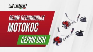 Бензокосы Efco серии DSH