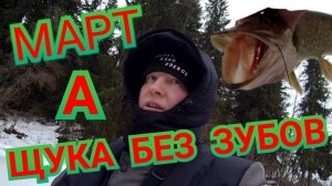 ЖЕРЛИЦЫ. МАРТ, А ЩУКА БЕЗ ЗУБОВ!