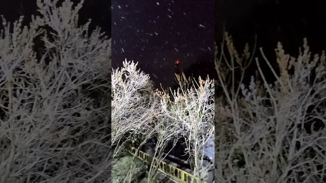 Доброе утро.
