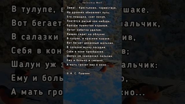 Пушкин А. С. "Зима...Крестьянин торжествует..." #стихи #поэзия #shorts