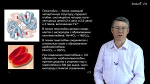 Дубынин В. А. - 100 часов школьной биологии - 1.4. Кровь: плазма, эритроциты, тромбоциты