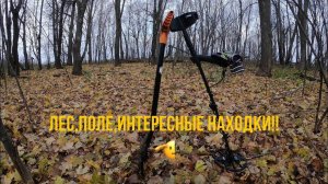 ЛЕС,ПОЛЕ,МОНЕТЫ Я НЕ ОЖИДАЛ!!