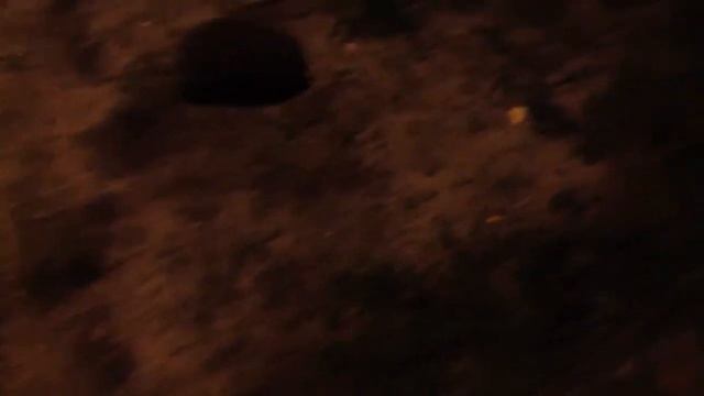 Прикол! Ежиха против- фыркает ого го го смотреть онлайн