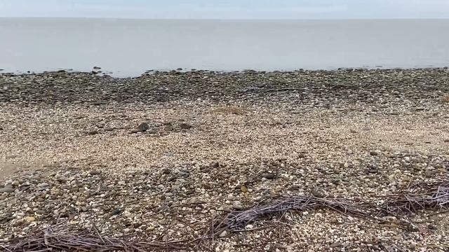 Культур-мультур. Предновогодняя суета. Декабрь на Азовском море. смотреть онлайн