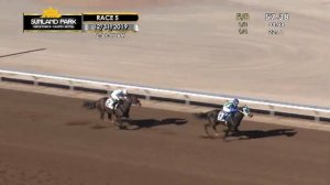 SUNLAND PARK THIS WEEK with Tom Dawson - Week 4