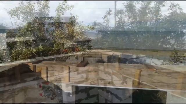 Армопояс в Доме у Моря смотреть онлайн