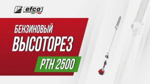 Бензиновый высоторез Efco PTH 2500