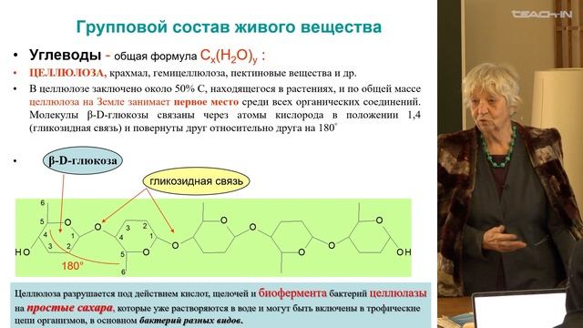 Соболева Е.В. - Геология и геохимия горючих ископаемых -14. Седиментогенез. Часть 2