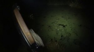 ОХОТА на БОБРА с ружьем БЕКАС-АВТО. Подствольный фонарь Viking и налобный Wizard. Костюм Новатекс.