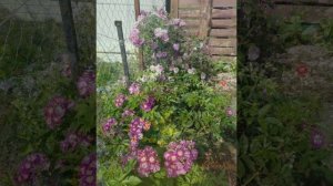 Турлово 2022, часть 2